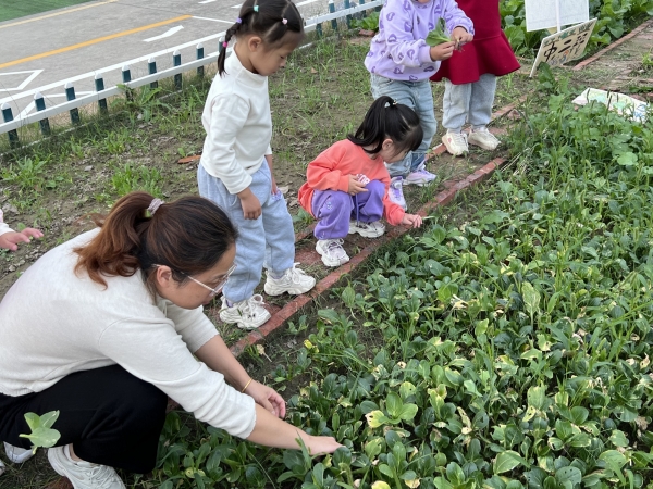 e7203f1873d048369957d339590cc96a.jpg e7203f1873d048369957d339590cc96a.jpg